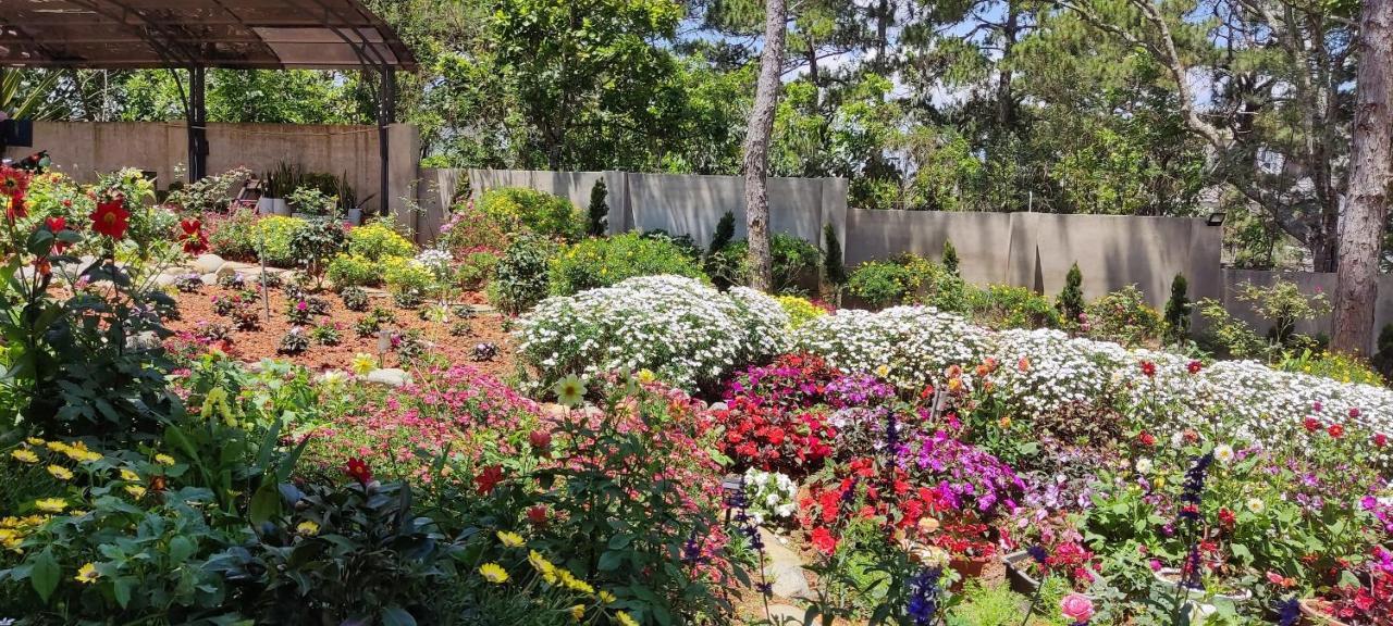 Bach Tra Villa Dalat Luaran gambar